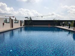 Gambas Crescent (D27), Factory #524245371